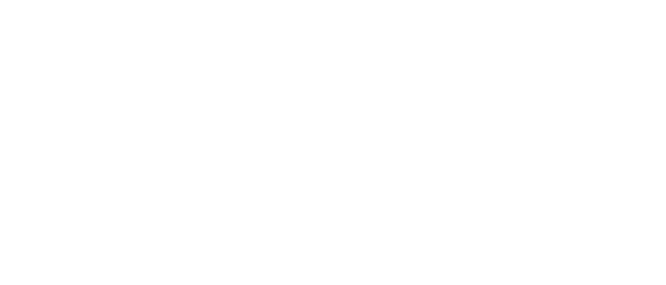 Novelty Express